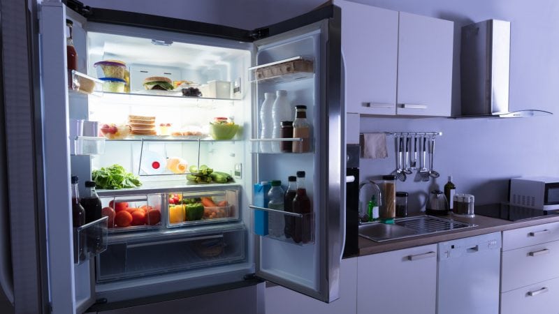 Can Bed Bugs Live in Refrigerator