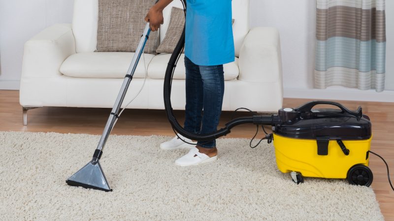 Can Bed Bugs Live in a Carpet Cleaner