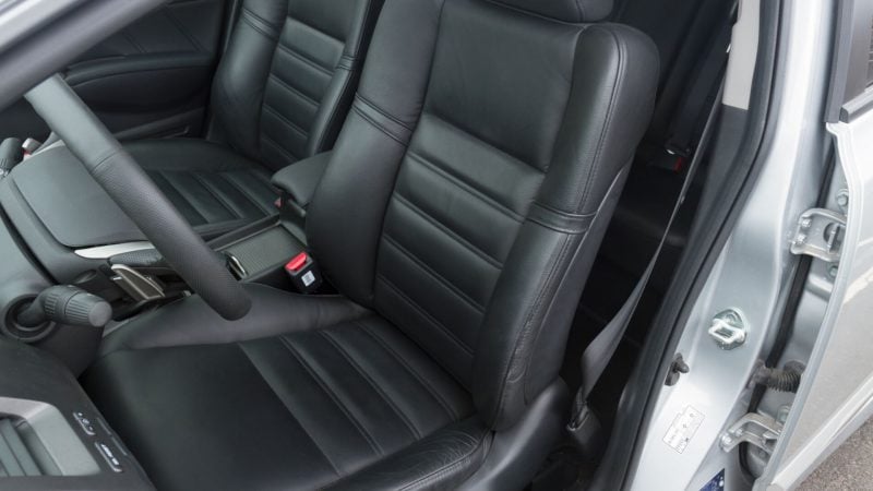 Can Bed Bugs Live on Leather Car Seats