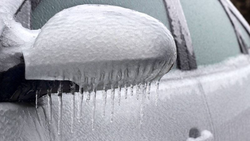 Can Bed Bugs Survive in a Cold Car