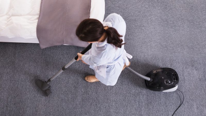 How to Prevent Bed Bugs from Getting into Carpet