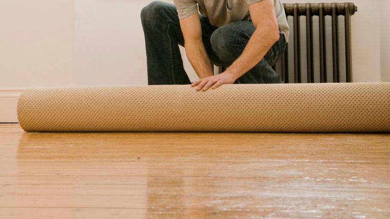 How to Tell if Your Carpet is Infested with Bed Bugs