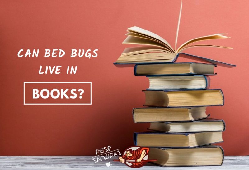 Bed Bugs in Books Can Bed Bugs Live in Books.