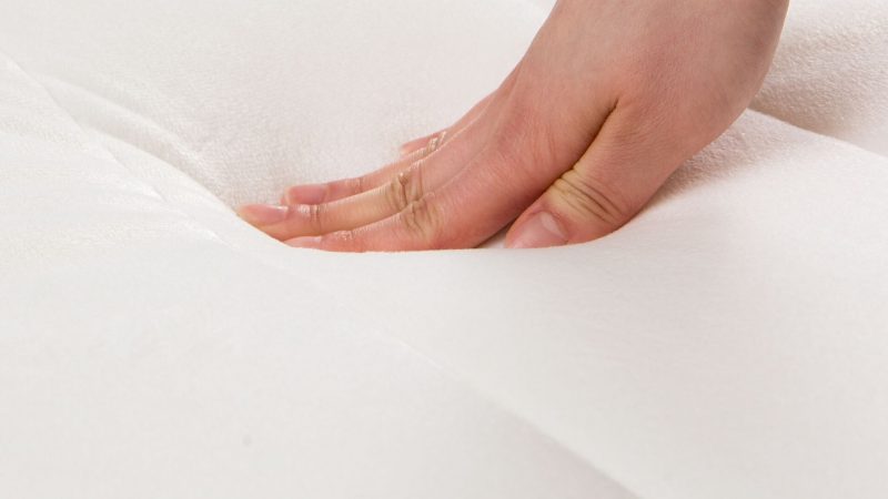 Can Bed Bugs Live in a Memory Foam Pillow