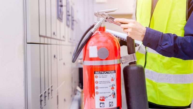 Can Fire Extinguisher Kill Bed Bugs