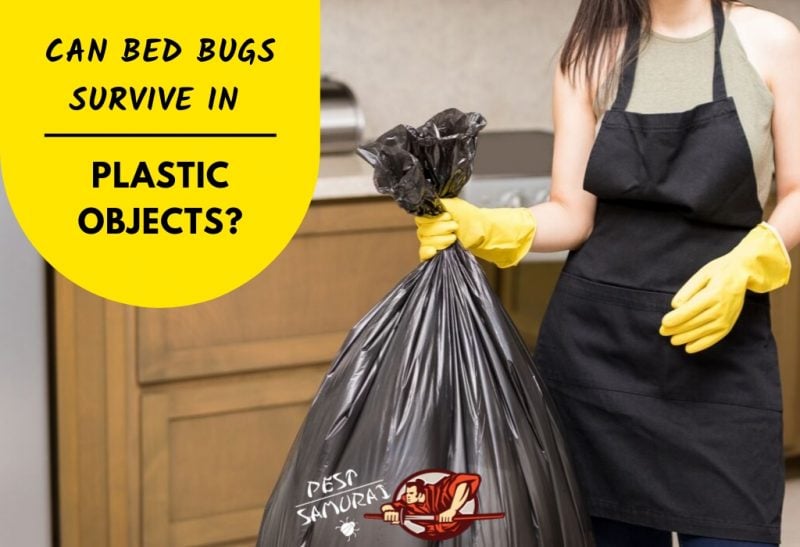 Do Bed Bugs Die in Plastic Bags– Bed Bug SOS