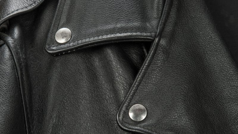 Can Bed Bug Infest Leather Jacket