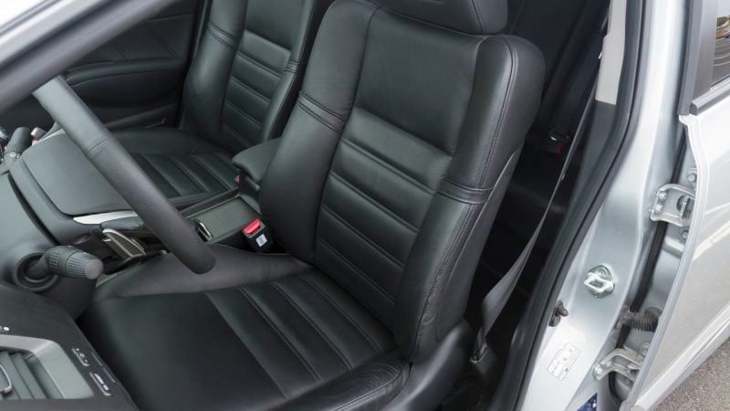 Can Bed Bugs Live on Leather Car Seats