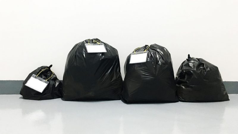 https://pestsamurai.com/wp-content/uploads/2019/10/Do-Bed-Bugs-Suffocate-in-Plastic-Bags-e1570092042951.jpg