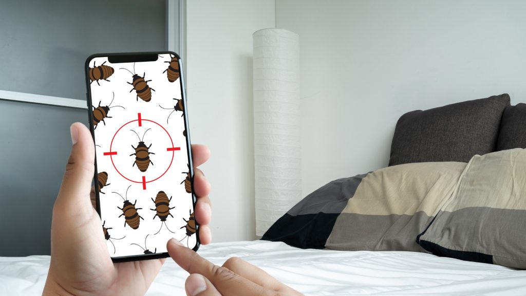 How Fast Do Bed Bugs Spread
