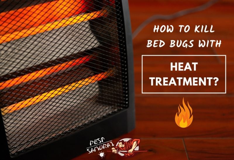 How to Kill Bed Bugs with Heat Treatment? - Pest Samurai