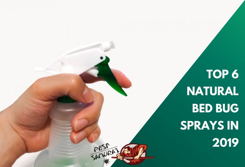 Top 6 Natural Bed Bug Sprays in 2019 Detailed Reviews and Tips