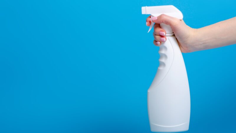 What to Look for When Buying a Natural Bed Bug Spray