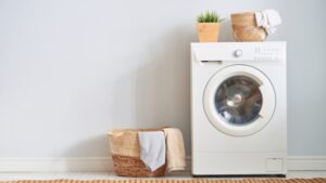 Can Bed Bugs Survive In Washing Machine? | Tips For Complete ...