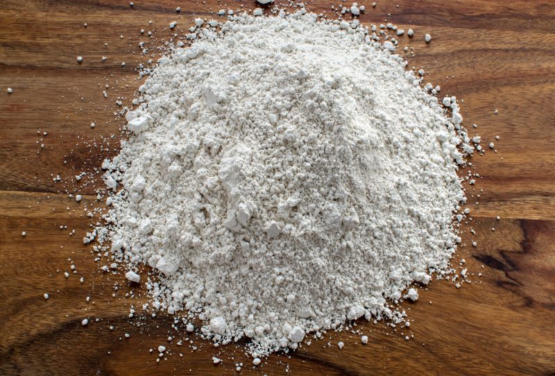 How to Use Diatomaceous Earth for Bed Bugs (Step-By-Step Guide)