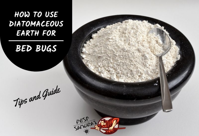 How to Use Diatomaceous Earth for Bed Bugs