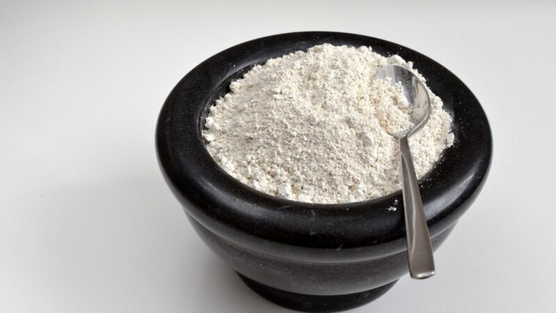 What Is Diatomaceous Earth