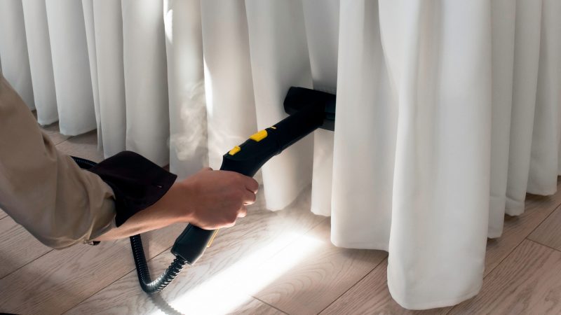 What Temperature of the Steam Is Necessary to Kill Bed Bugs