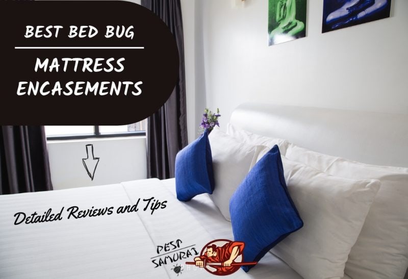 Best Bed Bug Mattress Encasements in 2020 – Detailed Reviews and Tips