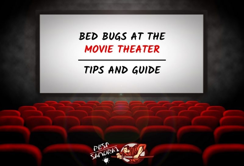 How to Avoid Bed Bugs at the Movie Theater Tips and Guide