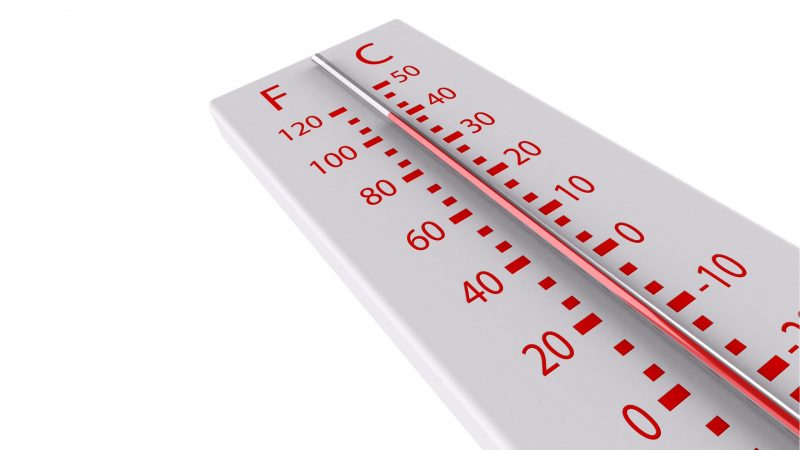 What Temperature of the Steam Kills Bed Bugs