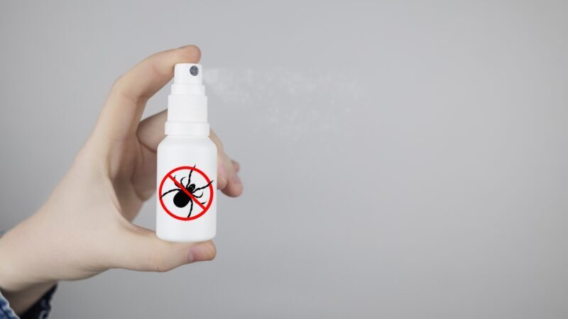 Bug Spray That Kills on Contact