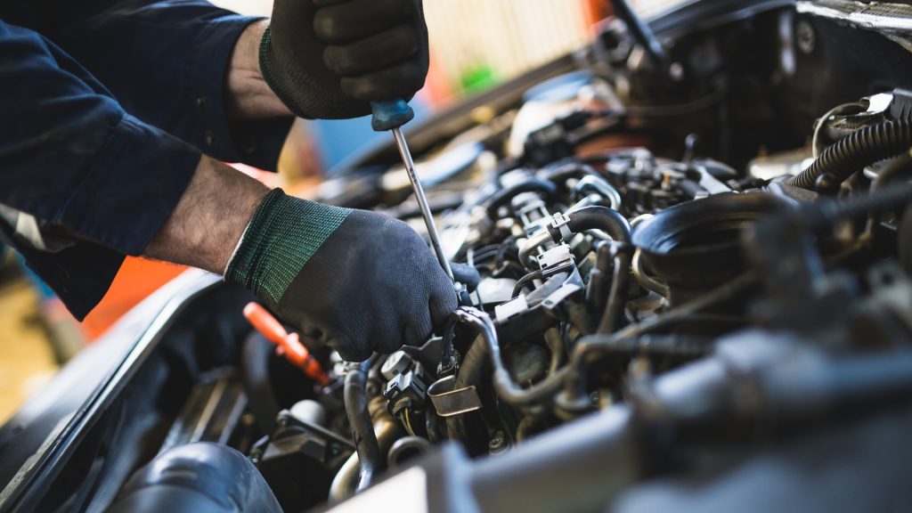 How to Get Rid of Ants in Car Engine