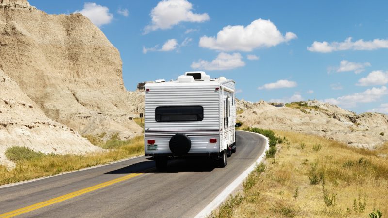 How to Get Rid of Ants in RV