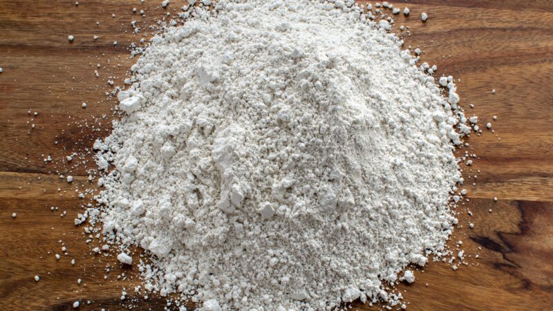 Diatomaceous Earth