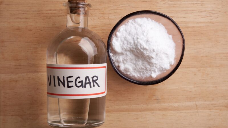 Vinegar