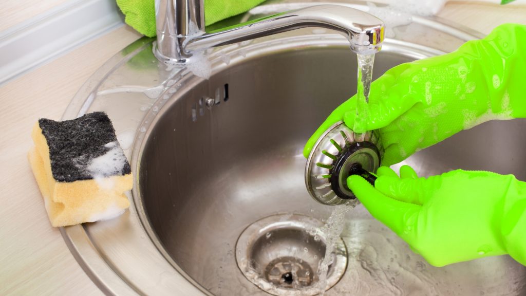 Ants Inside The Kitchen Sink Drain 1024x576 