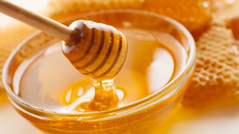 Can You Use Honey for DIY Ant Bai