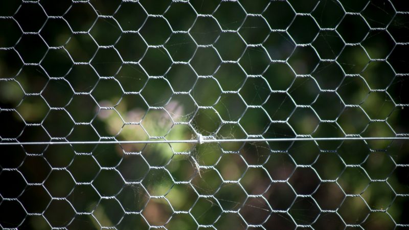 2 Sheets Chicken Wire Net for Craft Work, Galvanized Hexagonal Wire Mesh  (Black,13.7 x 40 Inches) 