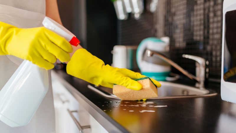 Home Remedy for Ants in Kitchen Sink