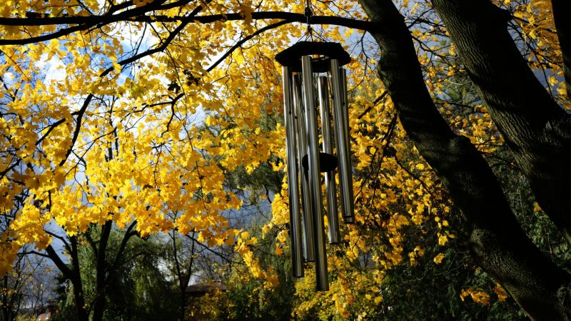 How to Use Wind Chimes to Scare Away Squirrels