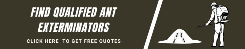 Ant Exterminators