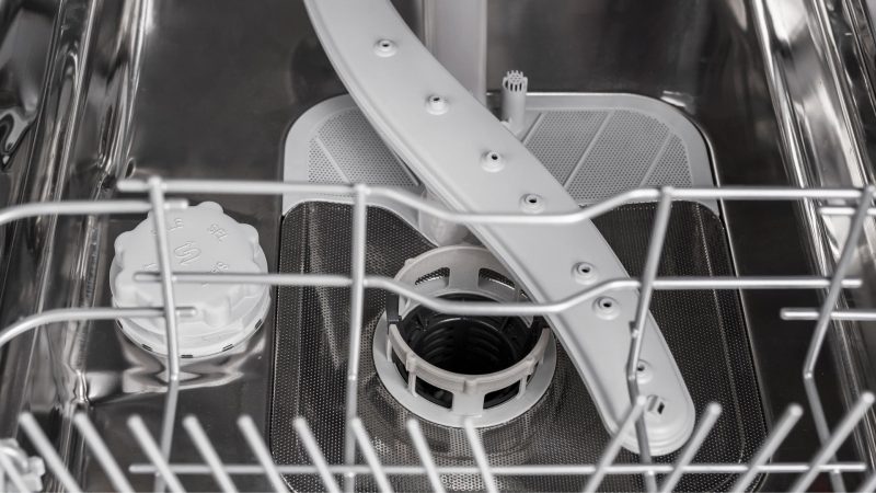Ants Coming in Through Dishwasher