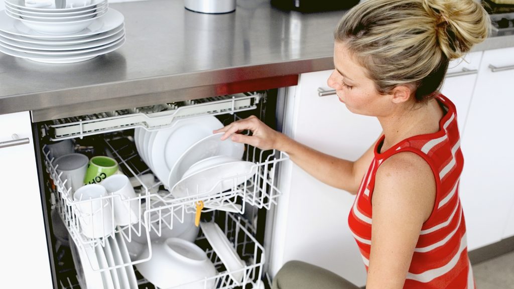 How to Get Rid of Ants in Dishwasher: A Complete Guide - Pest Samurai