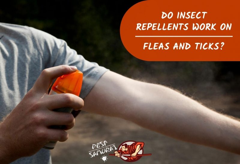 Do Insect Repellents Work on Fleas and Ticks