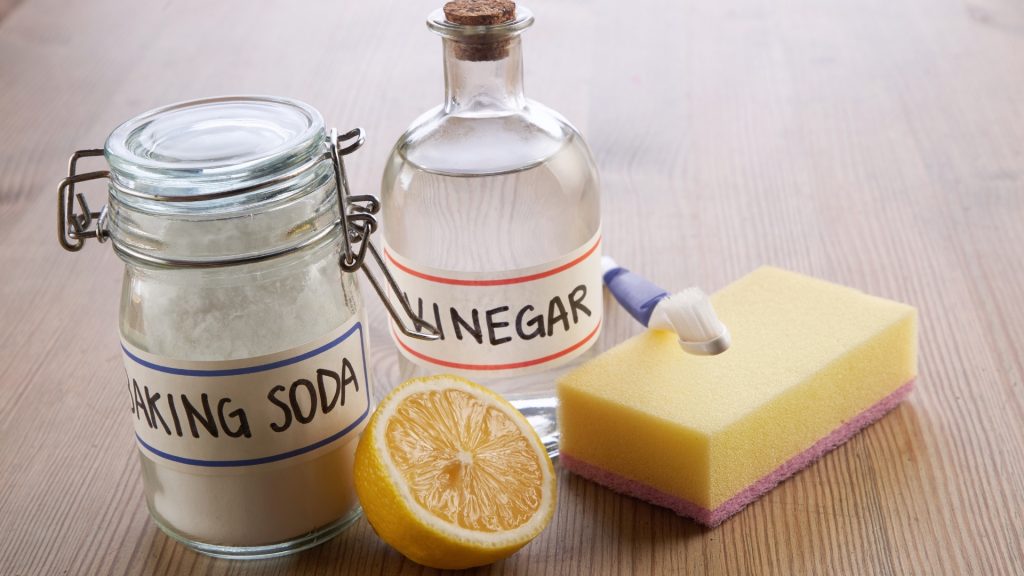 Does Baking Soda and Vinegar Kill Ants