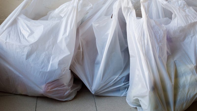 Can Cockroaches Eat Through Plastic Bags