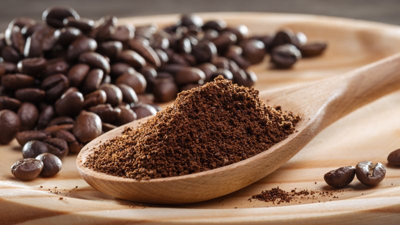 Do Coffee Grounds Repel Ants