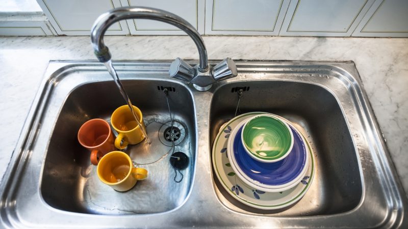 Can Cockroaches Climb up Through Kitchen Sink