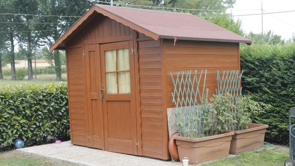 How To Get Rid of Cave Crickets in Shed