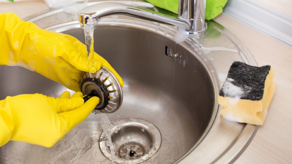 How To Kill Maggots in Sink