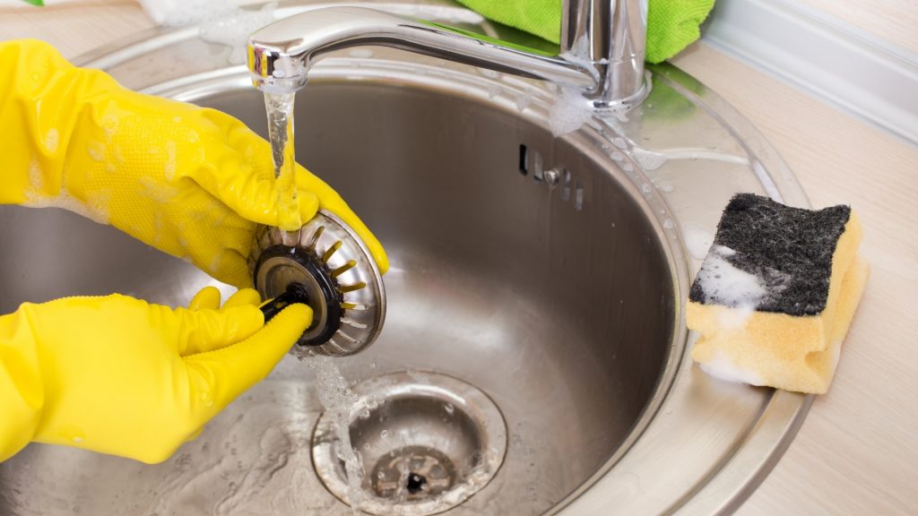 maggot in bathroom sink