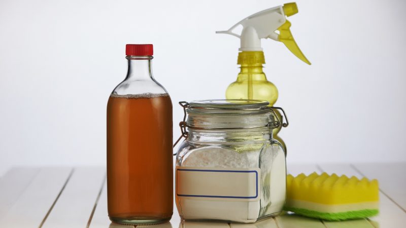 Homemade Flea Spray With Vinegar and Baking Soda