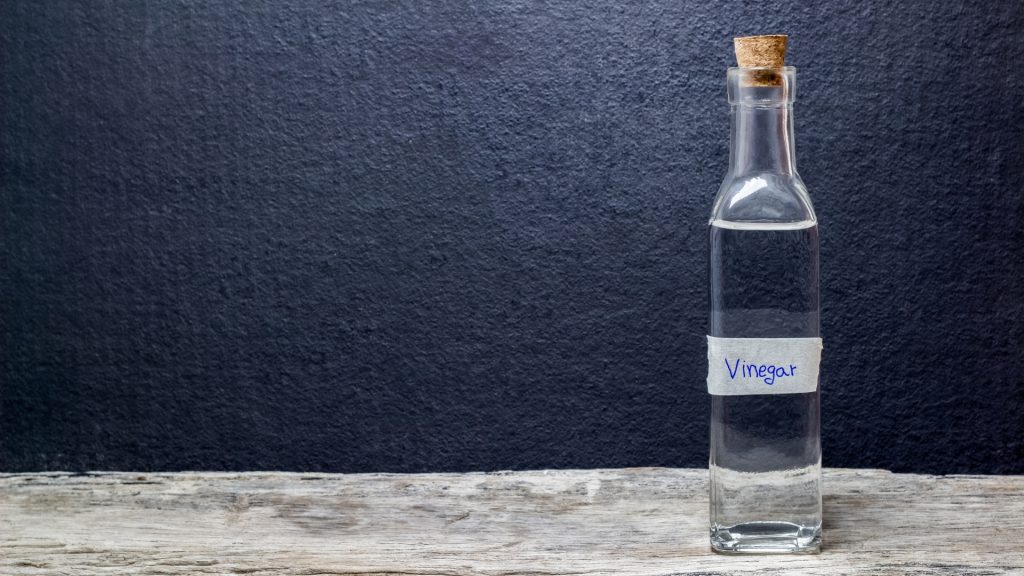 Is Vinegar a Good Spider Repellent