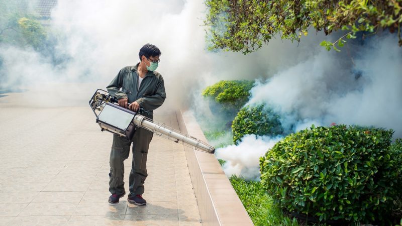 What Are the Main Types of Mosquito Foggers