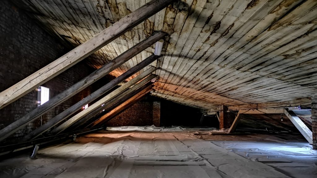 Basements, Crawlspaces, and Attics Termites